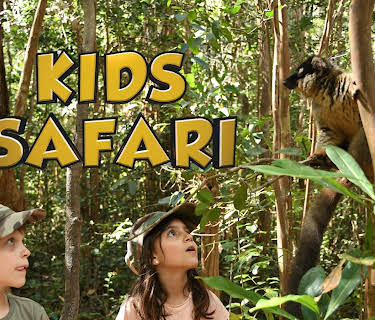 Kids Safari