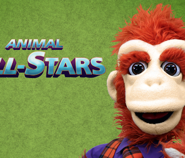Animal All Stars