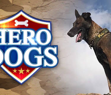 Hero Dogs Season 1