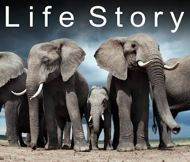 Life Story, Season 1