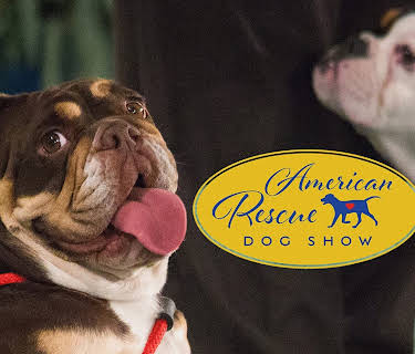 2018 American Rescue Dog Show (2018)