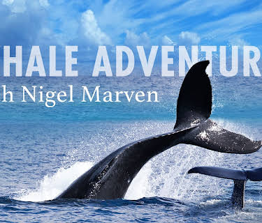 Whale Adventures with Nigel Marven