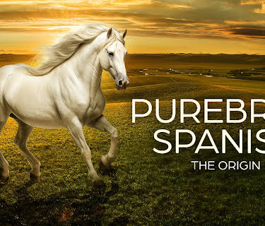 Purebred Spanish: The Origin (2024)