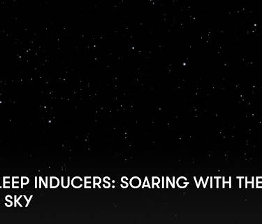 Zen Sleep Inducers: Soaring with the Night Sky (2024)