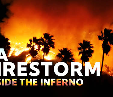 LA Firestorm season-1