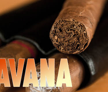 The Havana (2007)
