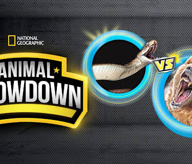 Animal Showdown
