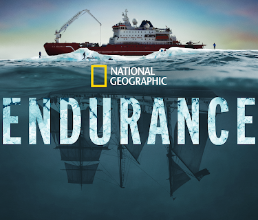 Endurance (2024)