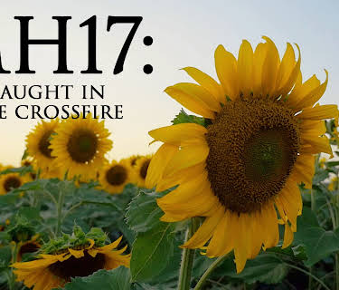 MH17: Caught in the Crossfire (2014)