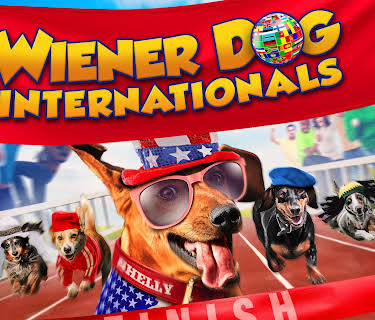 Wiener Dog Internationals (2017)