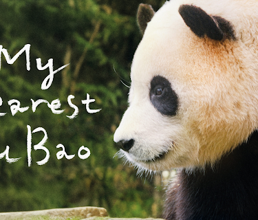 My Dearest Fu Bao (2024)
