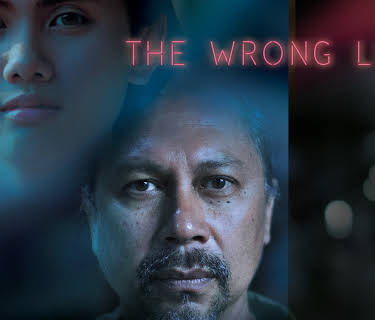 The Wrong Light (2017)