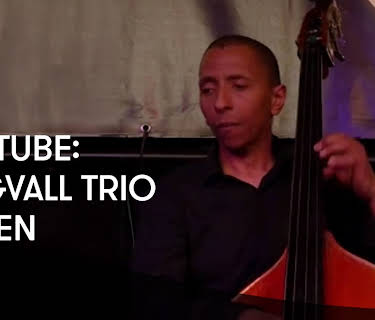 TorTube: Tingvall Trio - Vдgen (2016)