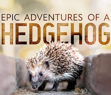 Epic Adventure of a Hedgehog (2026)