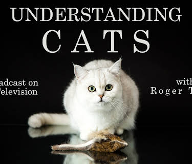 Understanding Cats