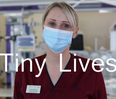 Tiny Lives