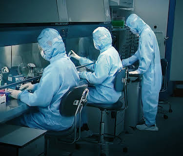 Coronavirus, Explained