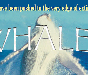 Whales (1995)