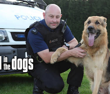 Send In The Dogs