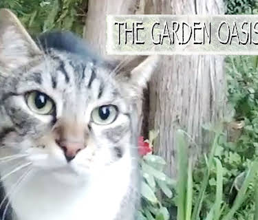 The Garden Oasis