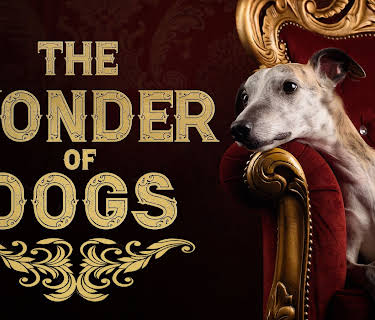 The Wonder of Dogs