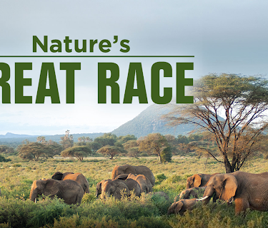 Nature's Great Race Season 1