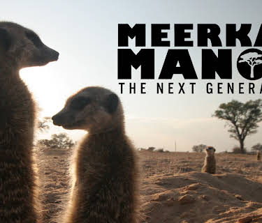 Meerkat Manor The Next Generation