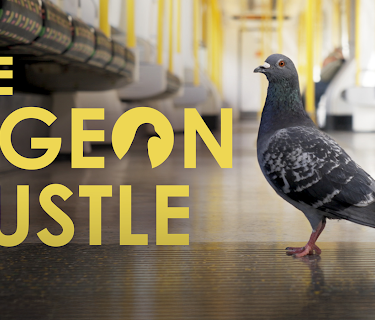 The Pigeon Hustle (2025)