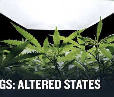 Drugs: Altered States Season 1