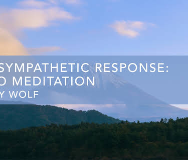 Parasympathetic Response: Audio Meditation (2020)