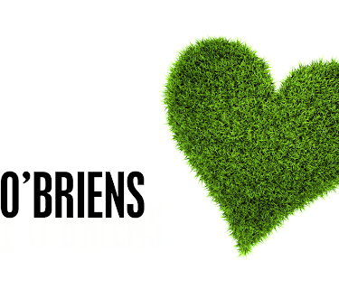 The O'Briens (2013)