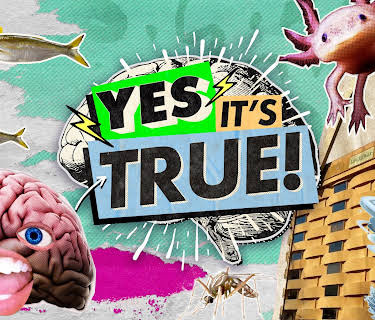 Yes It's True S1