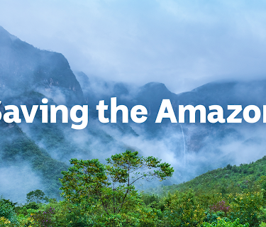 Saving The Amazon
