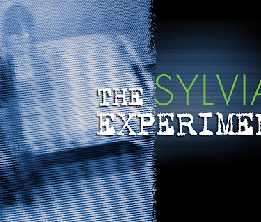 The Sylvian Experiments (English Subtitled) (2010)