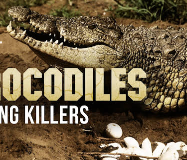 Crocodiles: Caring Killers (2016)