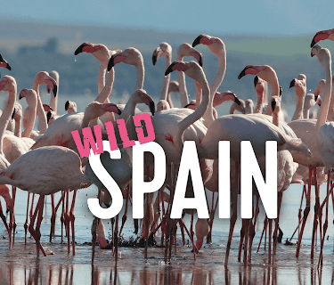 Wild Spain