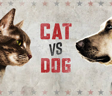Cat vs. Dog Season 1