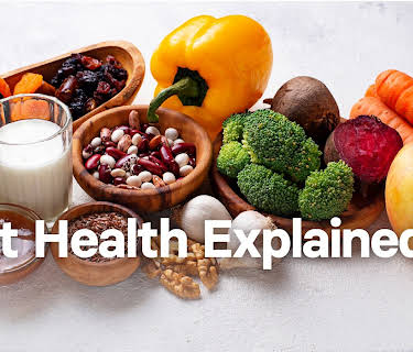 Gut Health Explained