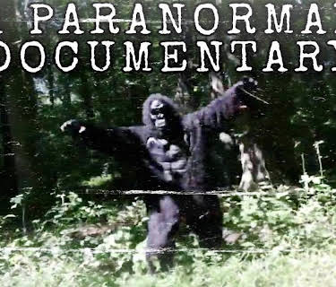 A Paranormal Documentary (2020)