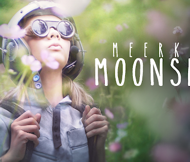 Meerkat Moonship (2017)