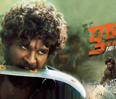 Pushpa: The Rise (Hindi) (2022)