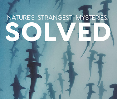 Nature's Strangest Mysteries: Solved Season 1