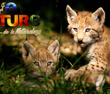 Guarderías de la naturelaza