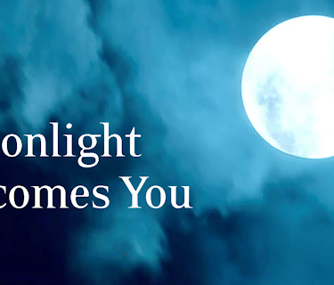 Moonlight Becomes You (1998)