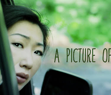 A Picture of You (2013)