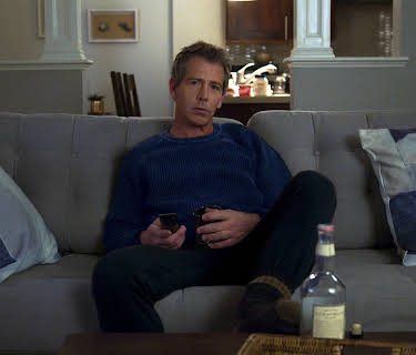 The Land of Steady Habits (2018)