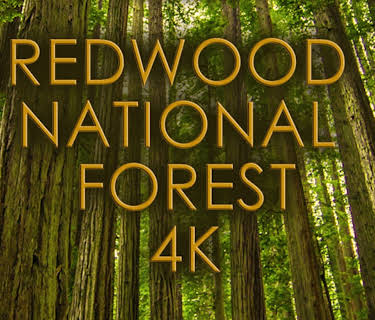 Redwood (4K UHD) (2016)