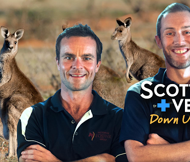 Scottish Vets Down Under