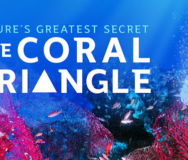Nature's Greatest Secret - The Coral Triangle