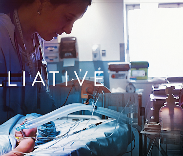 Palliative (2025)